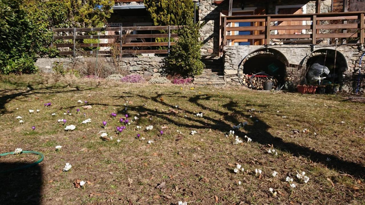 הוילה טליו Casa Delle Rose מראה חיצוני תמונה