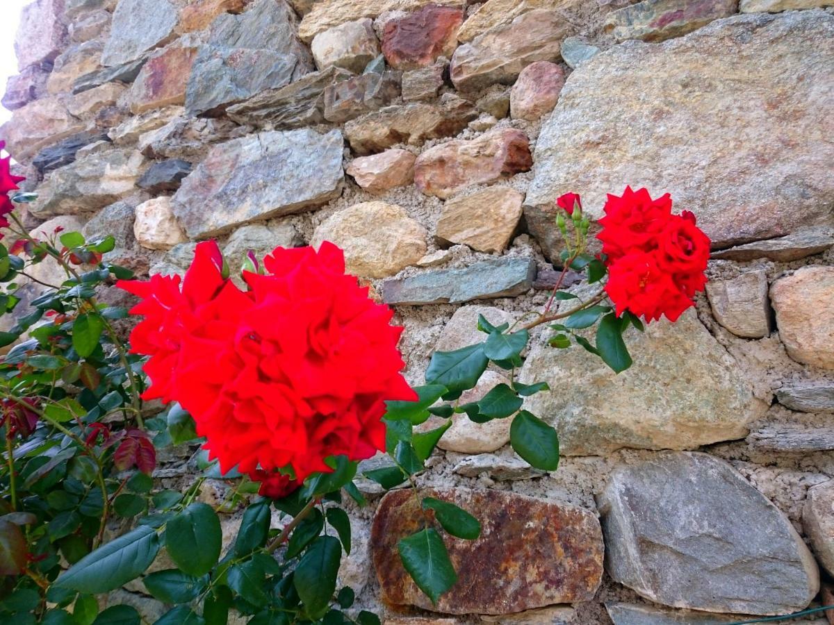 הוילה טליו Casa Delle Rose מראה חיצוני תמונה