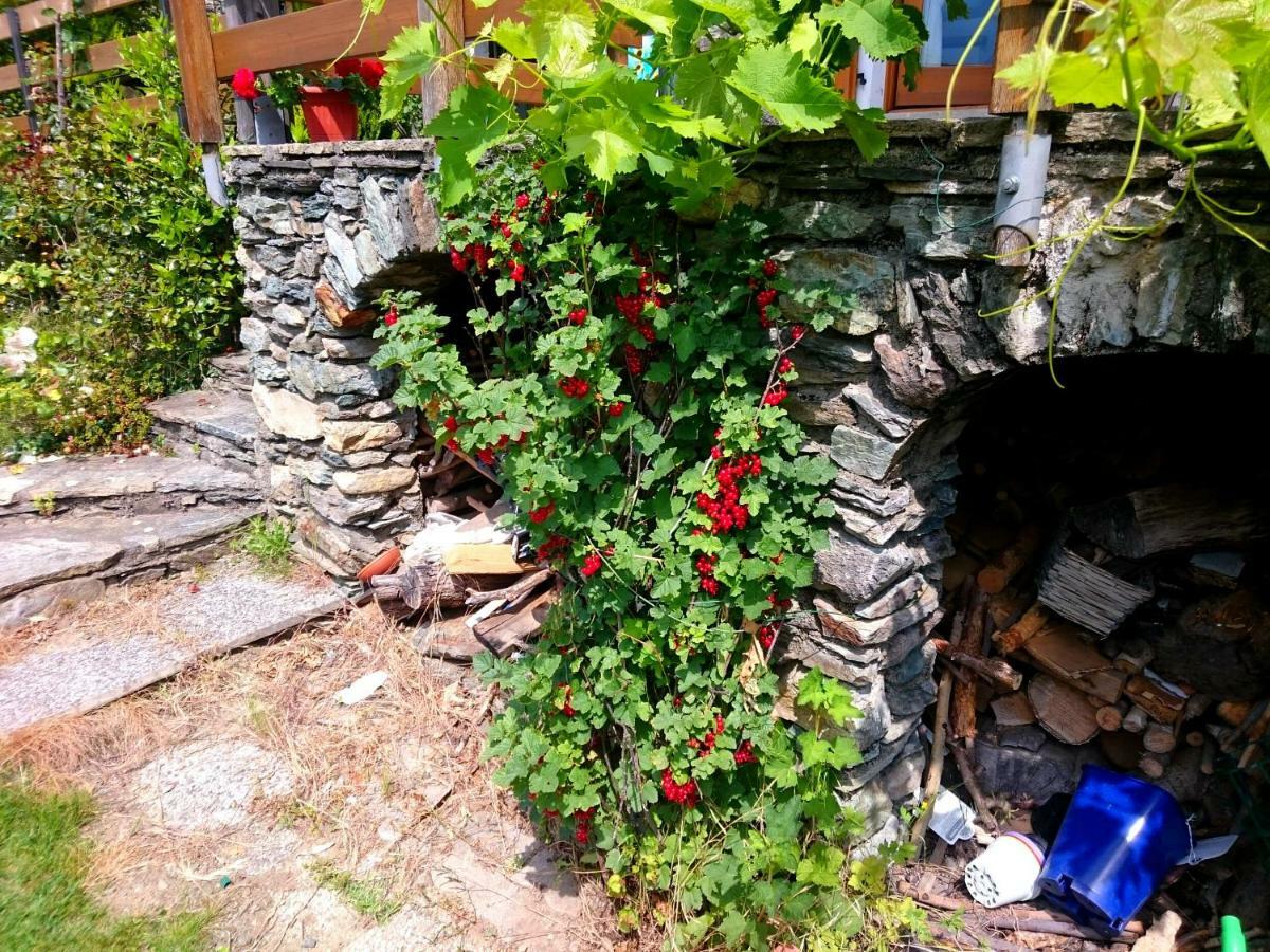 הוילה טליו Casa Delle Rose מראה חיצוני תמונה